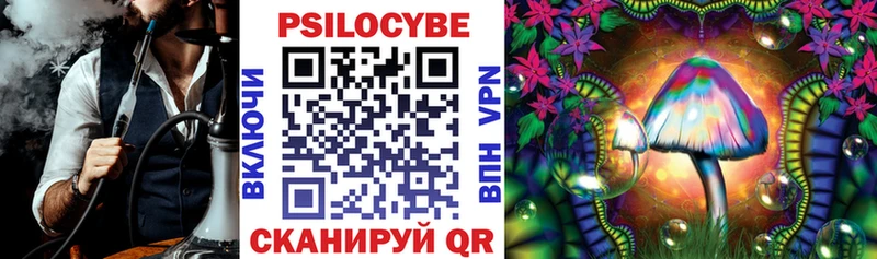 Купить где  Козловка  Псилоцибиновые грибы ЛСД 